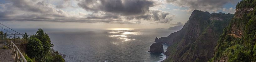 Madeira van Kees Korbee