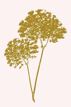 Botanical Modern Art, golden Hydrangea by Caroline Drijber