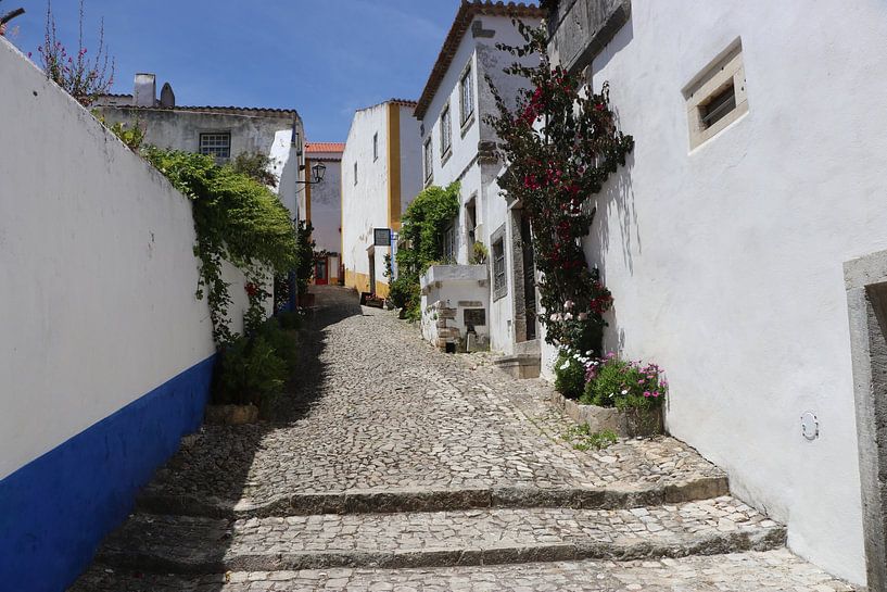 Typical street in Obidos Portugal by eddy Peelman