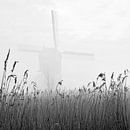 Windmolens Kinderdijk 04 van Ruud Peters thumbnail