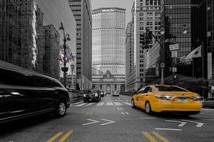 New York    Park Avenue