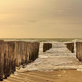 De Zeelandse kust van Assia Hiemstra