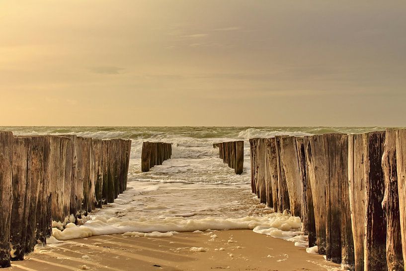 De Zeelandse kust par Assia Hiemstra