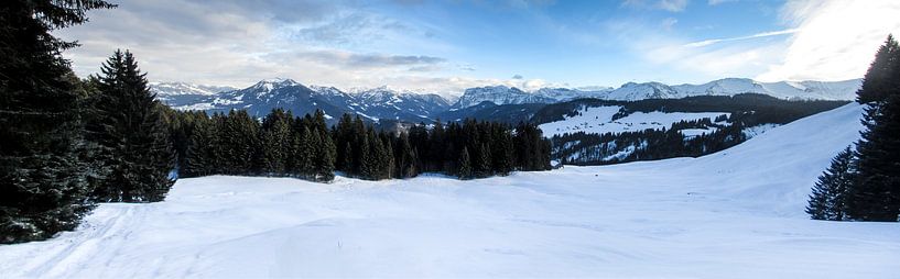 Bregenzerwald von Johnny van der Leelie