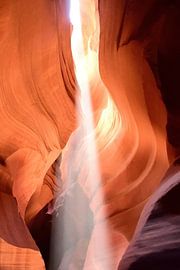 Es ist nie langweilig von Frank's Awesome Travels