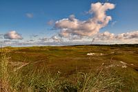 Dünenlandschaft in Nordholland