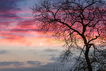 Moon shows during beautiful sunset The Netherlands