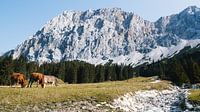 Uitzicht op de Zugspitze van Rob van Dongen thumbnail