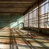 Diagonale dans le gymnase de Pripjat sur Truus Nijland
