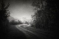 Out of the Darkness