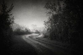 Uit de duisternis van Dan Courtice