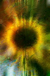 Digitalart : In Helianthus