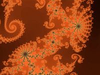 Fractale colorée - Mathématiques - Ensemble de Mandelbrot - Appleman