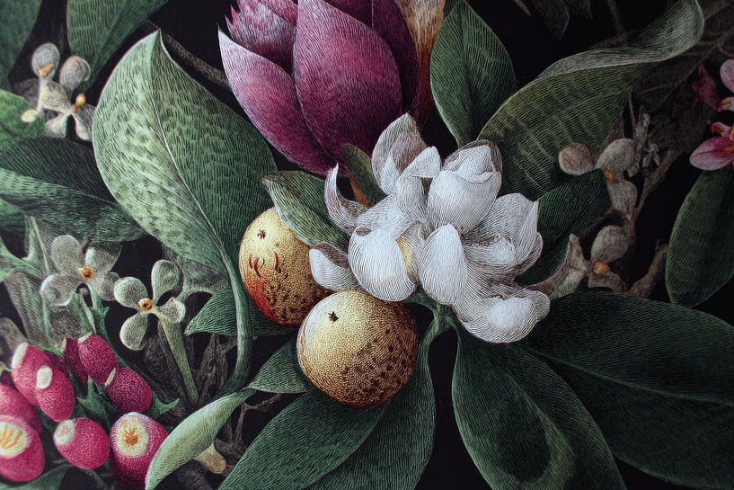 Botanical Fruits and Flowers in Deep Colours Classic Illustration by Eva Lee