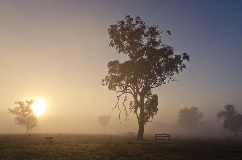 Am frühen Morgen an der Garrawilla Bauernhof von Sven Wildschut
