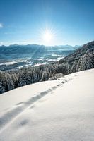 Winterliche Stimmung im Allgäu