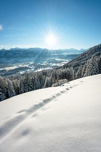 Winterse sfeer in de Allgäu van Leo Schindzielorz