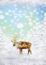 Hirsch im Schnee - Deer in the snow von Dagmar Marina Miniaturansicht