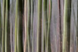 natural bar code van Eliberto
