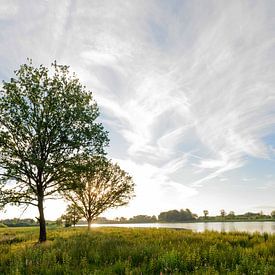 De Vilt Beugen van passie foto