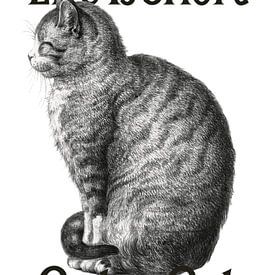 My Advice on Cats van Marja van den Hurk