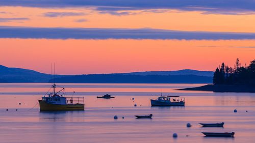 Zonsopkomst Bar Harbor, Maine