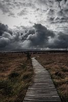 Destinations inconnues