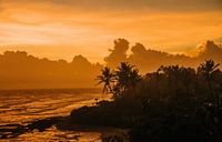 Sonnenuntergang mit einer Silhouette von Palmen im Hintergrund