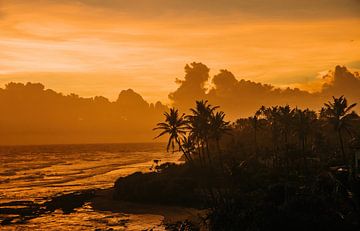 Coucher de soleil avec une silhouette de palmiers en arrière-plan sur Art Shop West