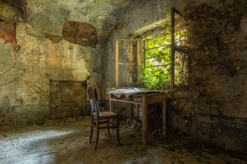Manicomio von Wanda Michielsen