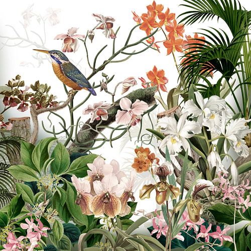 De ijsvogel met de orchideeën in retrokleuren