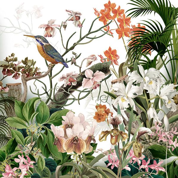 Der Eisvogel bei den Orchideen in Retrofarben von christine b-b müller