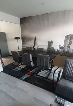 Customer photo: Rotterdam skyline with the head of south
