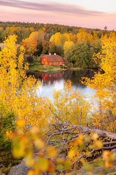 Au milieu des feuilles dorées