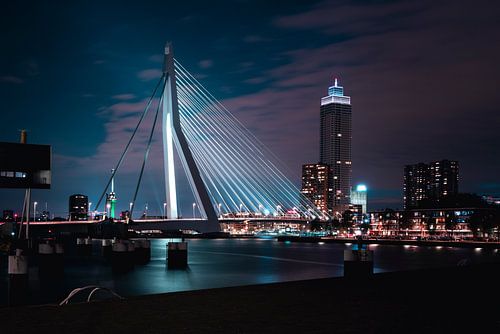 Erasmusbrug Rotterdam bij nacht.