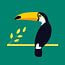 Toucan