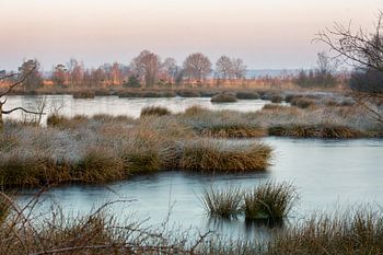 22-02-2018, PESSE, Sunrise in national park Dwingelderveld