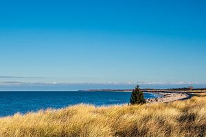Ostseeküste auf dem Fischland-Darß in Dierhagen