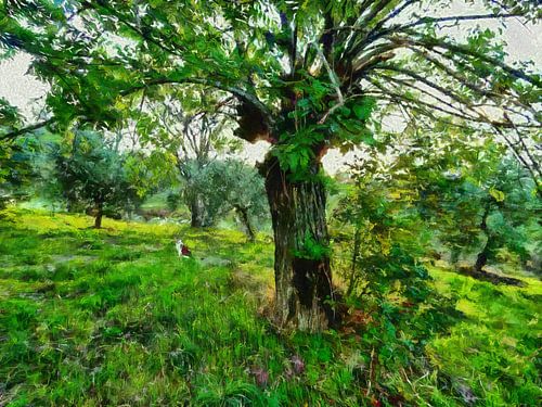 De kat en de moerbeiboom