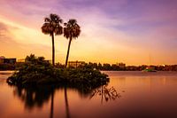 Lake Eola Orlando tijdens zonsondergang