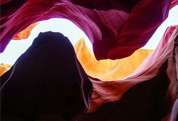 Antelope-Schlucht-Schlange