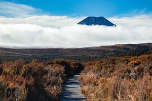 Tongariro-Nationalpark, Vulkan Ngauruhoe, Neuseeland