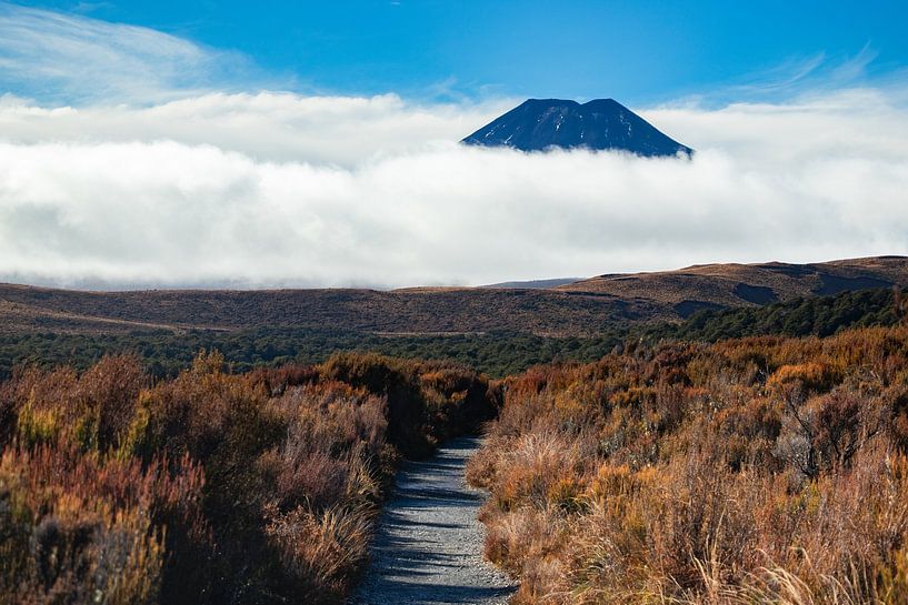 Tongariro-Nationalpark, Vulkan Ngauruhoe, Neuseeland von Nynke Altenburg