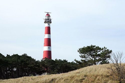 Ameland
