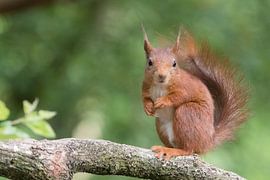 une pause by Martin van der Kruijk