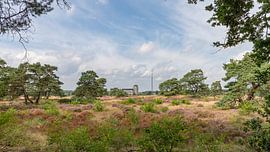 Landscape photography - The Heath ... by Bert v.d. Kraats Fotografie