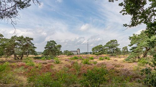 Landschapsfotografie - De Heide...