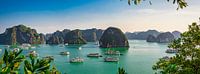 Panorama Halong Bay, Vietnam van Rietje Bulthuis thumbnail