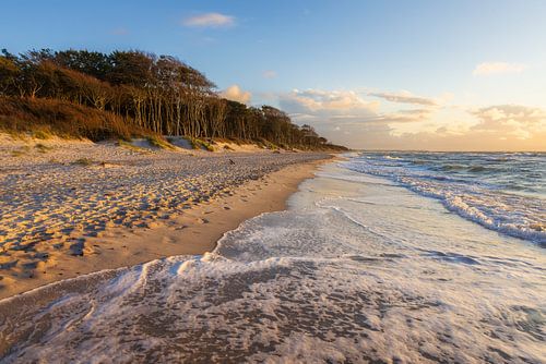 West beach in the golden light by Daniela Beyer