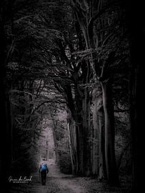 Blauw.............. van Ger vd Broek natuurfotografie